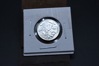 1/10 OZ .999 Fine Silver Buffalo Round Coin