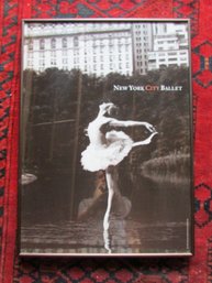 Contemporary NEW YORK CITY BALLET Poster, DARCI KISTLER In SWAN LAKE, Appx 24' X 18,' Simply Framed