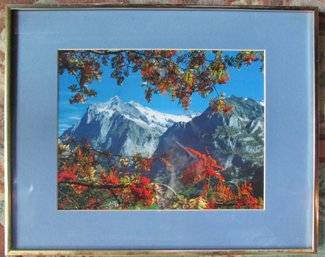 Vintage PASTORAL MOUNTAIN Scene! Photograph, FALL FOLIAGE, Appx 20' X 16,' Simply Framed