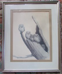 Vintage GUY COHELEACH Print, SCREECH OWLS, Appx 25' X 20.5,' Metallic Finish Frame