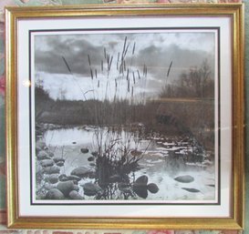 Vintage Black & White Print, Rural CATTAIL Scene, Appx 34' X 32,' Gold Finish Frame