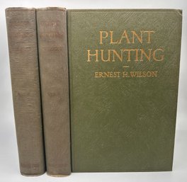 2 Vol. Plant Hunting By Ernest H. Wilson, C. 1927