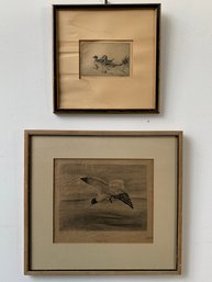 2 Signed Framed  Wildlife Bird Etchings, Mid 20th-century