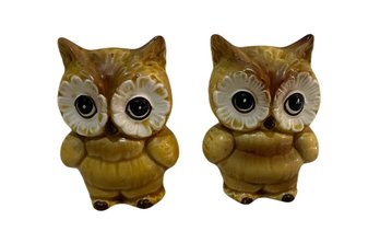 Vintage Owl Salt And Pepper Shakers. Stopper Included