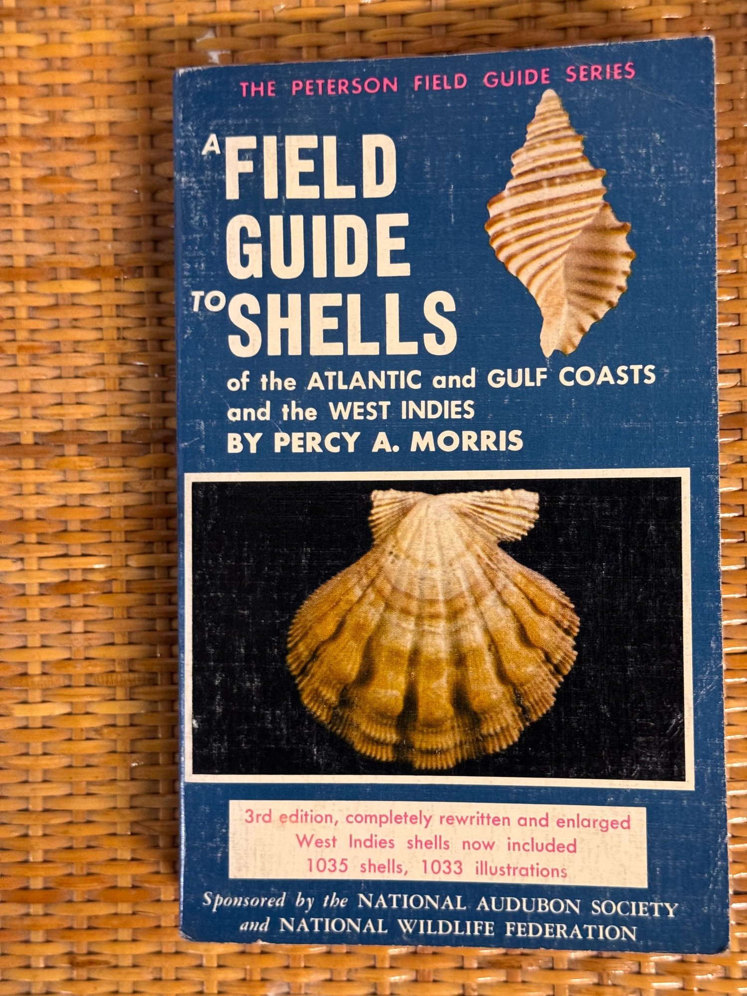Southern Atlantic Shells Peterson Field Guide To Shells Of The Atlantic And Gulf Coast And West ...