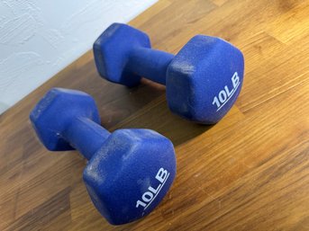 Pair Of Ten Pound Hand Weights Appear New