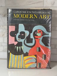 Larousse Encyclopedia Of Moder Art, Coffe Table Book,  Awesome....