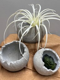 Organic Cement/earthenware Pot Trio.   Wall Or Tabletop