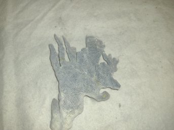 Medium Blue Ridge Sea Coral