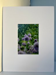 Botanical Garden Art