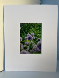 Botanical Garden Art