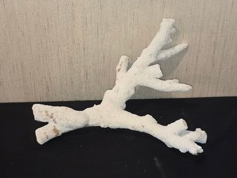 White Finger Coral Piece Nautical Beach House Sculpture