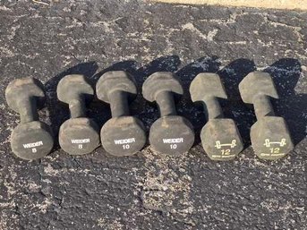 Lot Of 6 Hand Weights, 8,10,and 12 Pounds