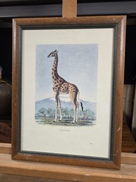 Framed Giraffe Wall Art