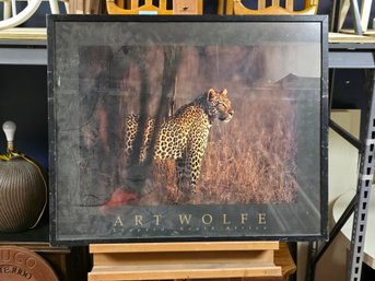 Framed Art Wolfe Leopard Wall Art