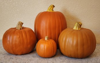 Assortment Of Home Decor Halloween Fall Thanksgiving Pumpkin Decor