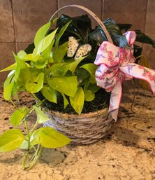Peace Lilly And Golden Pothos Houseplant Inside Woven Wicker Basket