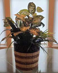 Decorative Dish Garden Featuring A Mix Of Lush Faux Indoor Plants Arranged In A Woven Basket.