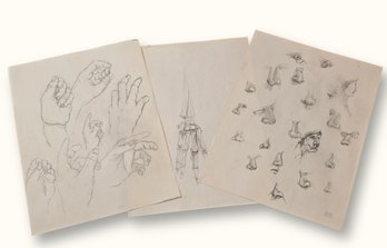 R1019 Vintage G Rogers Pencil Sketch Anatomy Study Drawings Hand Skeletal Nose
