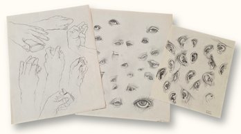 R1021 Vintage G Rogers Pencil Sketch Anatomy Study Drawings
