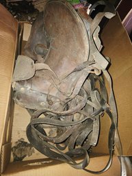 Saddles And Other Horse Related Items