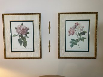 2 Gold Framed Prints Of Roses Pierre-joseph Redoute