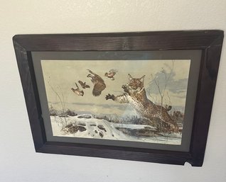 Wild Cat Catching Pheasants