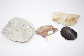 Rock Specimens (JD50)