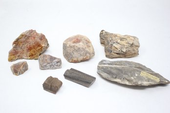 Petrified Wood (JD56)
