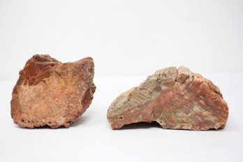 Petrified Wood (JD57)