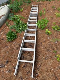 Aluminum Extension Ladder