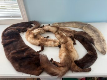 Assortred Furs (367)
