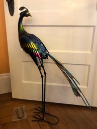 Garden Peacock (DR12)