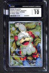 Pokemon 2024 - Japanese 'Hisuian Growlithe:  Art Rare - Holo CGC 'Gem Mint 10'