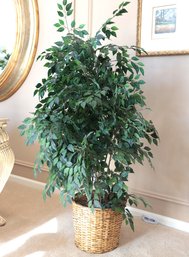 Faux Fica In Wicker Basket