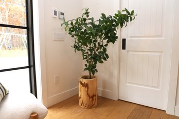 Wood Round Planter Or Umbrella Stand With Faux Plant