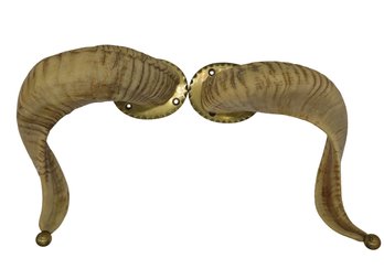 Pair Of Vintage Rams Horns On Brass Plate With Brass Finials  17'L