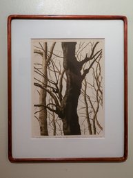 BEAUITFUL Mid Century Shogo Okamoto -SHIPPABLE