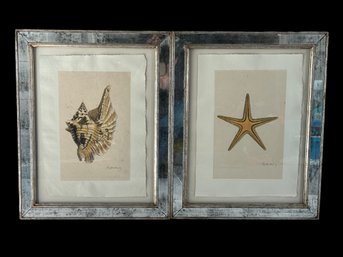 Pair Albertus Coral Collection