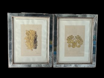 Pair Albertus Coral Collection