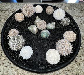 Black Wicker Basket With Assorted Sea Urchine Shells And More