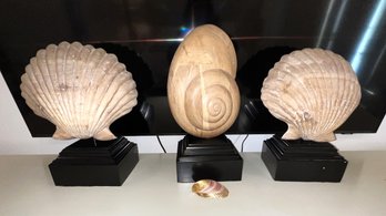 Three Decorative Wooden Scallop And Nautilus Shells On Black Bases -shippable