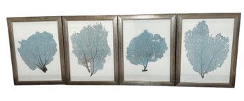 Vintage Blue Fan Coral Decor