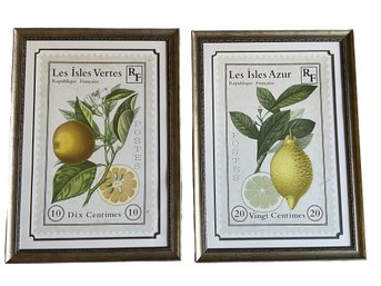 Pair 'French Stamp' Orange And Lemons By Maria Mendez