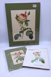 Roses Are Not Always Red -SHIPPABLE