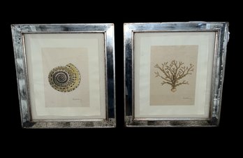 Pair Albertus Coral Collection