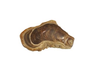 Natural Banded Agate Geode Specimen With Crystal Pocket