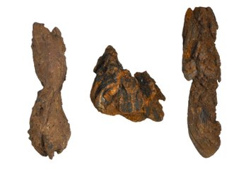 Lot 3 Coprolite Fossil Poop Specimens