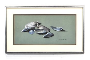 H. Smith (20th Century) Signed Pastel Drawing  Seashell Still Life