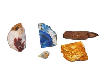 Group Of Polished & Rough Mineral Specimens  Agate, Petrified Wood & Stone Slabs